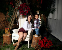 Christmas (11)