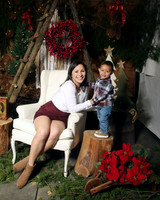 Christmas (15)