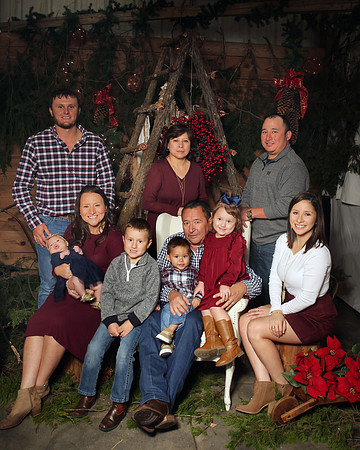 Christmas (25)