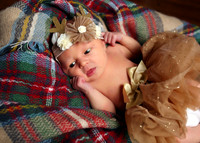 Callie (3)