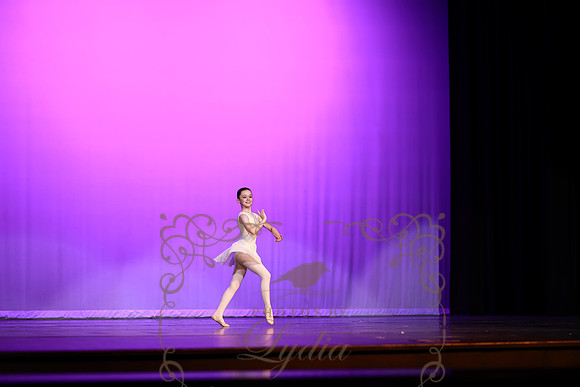 Don Quixote (28)