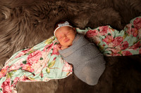 Paisley (1)