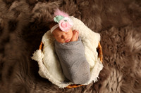 Paisley (10)