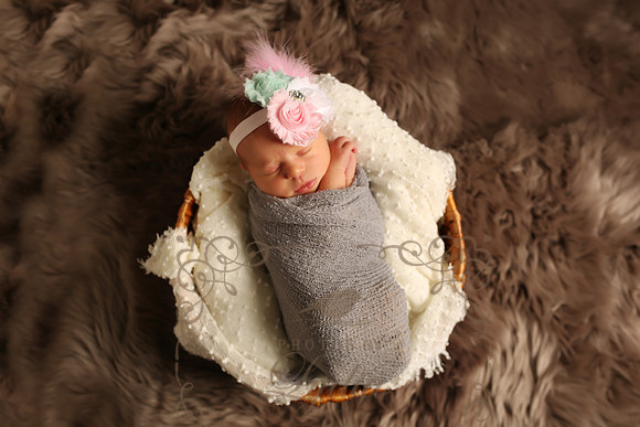 Paisley (10)