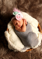Paisley (11)