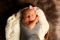 Paisley (13)