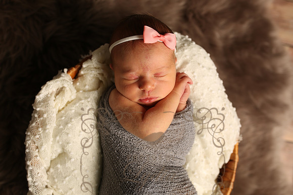 Paisley (13)