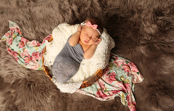 Paisley (17)