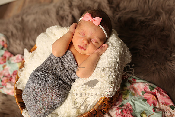 Paisley (19)