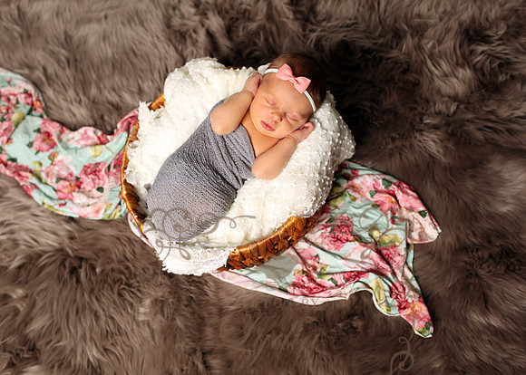 Paisley (21)