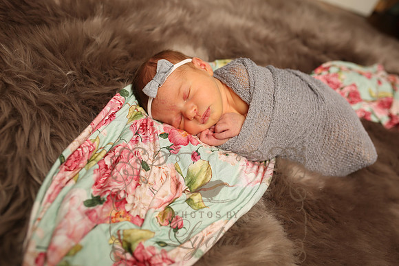 Paisley (177)