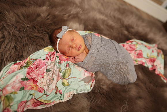 Paisley (180)