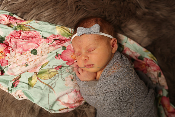 Paisley (183)