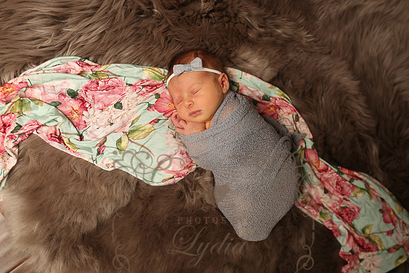 Paisley (185)