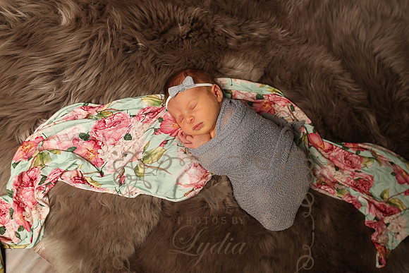 Paisley (186)
