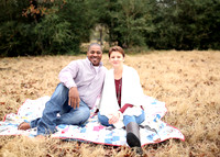 Herring (4)