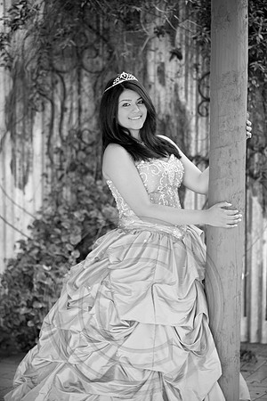 IMG_6460bw