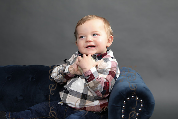 Brant (12)