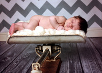 Brock (2)