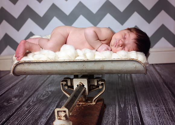 Brock (2)