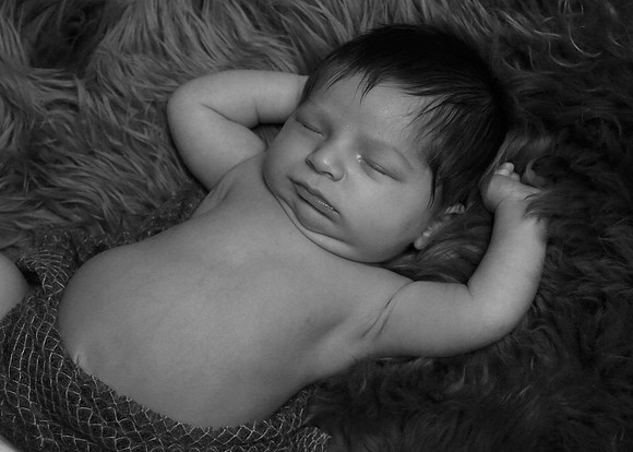 Brock (73)