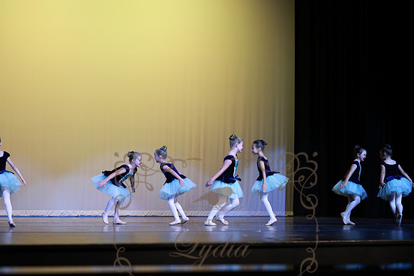 Pied Piper (26)
