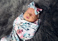 Palmer (3)