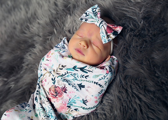 Palmer (3)