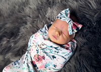 Palmer (4)
