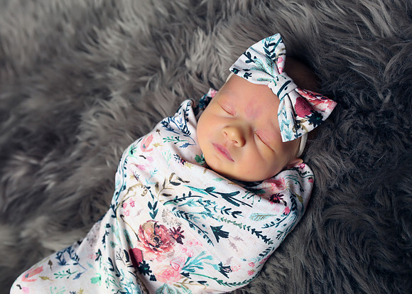 Palmer (4)