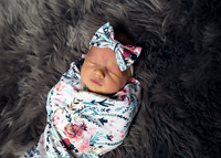 Palmer (5)