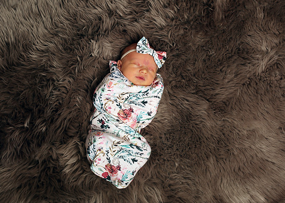 Palmer (2)
