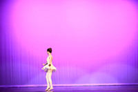 Don Quixote (19)