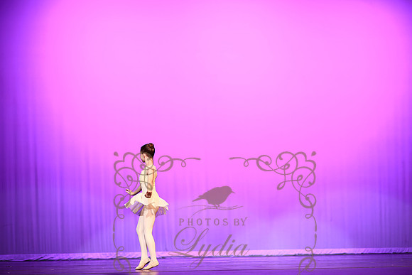 Don Quixote (19)