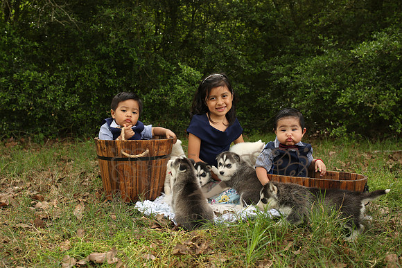 5V3B3879
