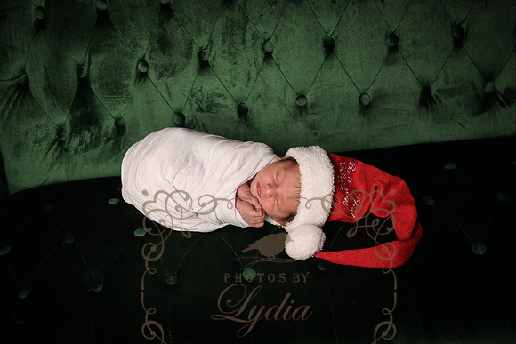 Heger-86
