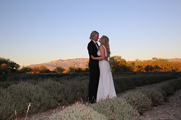 Bride & Groom (216)