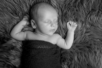Jasek (12)
