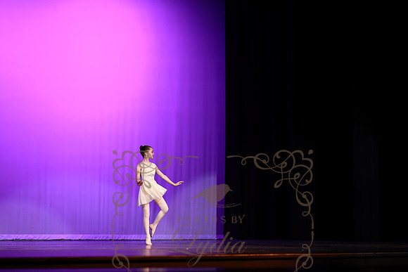 Don Quixote (23)