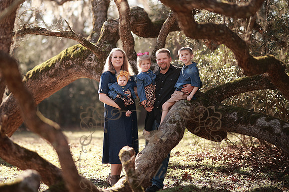 Family-33