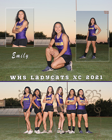 CollageEmily