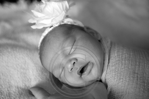 IMG_1067bw
