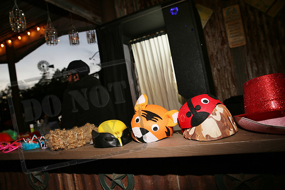 010 Details (34)