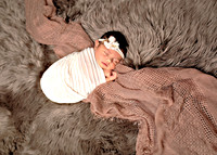 Andie (4)