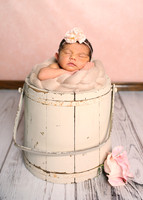 Andie (6)
