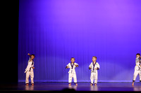 Taekwondo (13)
