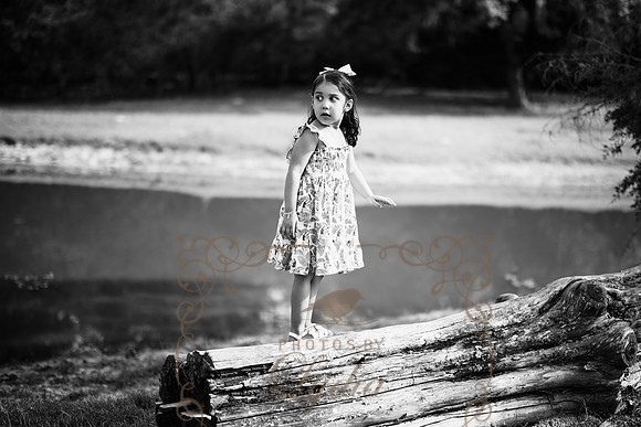 Aurora-0149