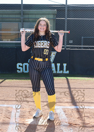 Tigers (33)