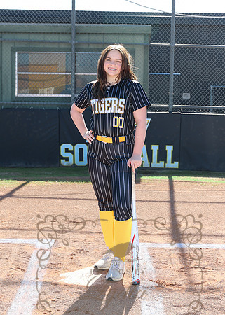 Tigers (34)