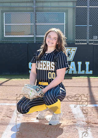 Tigers (37)